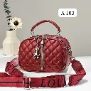 WhatsApp Image 2026-03-12 at 1.21.33 PM (1).webp